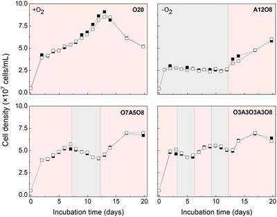 Effect of oxic and anoxic conditions on intracellular storage of polyhydroxyalkanoate and polyphosphate in Magnetospirillum magneticum strain AMB-1